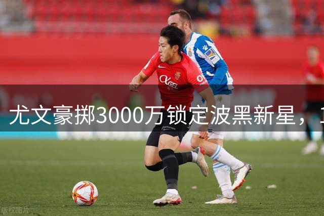 尤文豪掷3000万锁定波黑新星，18岁天才前锋加盟斑马军团
