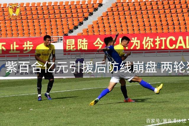 紫百合亿元引援后防线崩盘 两轮狂丢7球惹关注